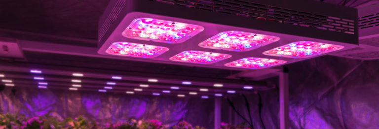 lampes LED horticoles